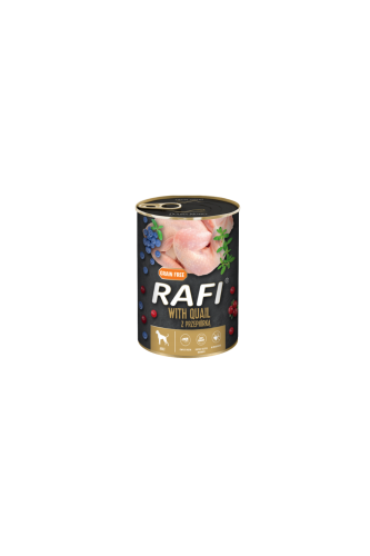 Projekt bez nazwy (100).png