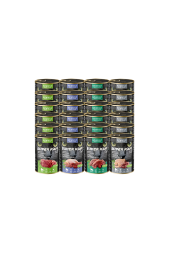 Projekt bez nazwy - 2026-03-02T105819.524.png
