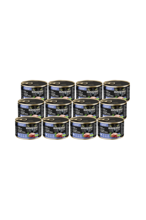 Projekt bez nazwy - 2026-03-14T205028.806.png