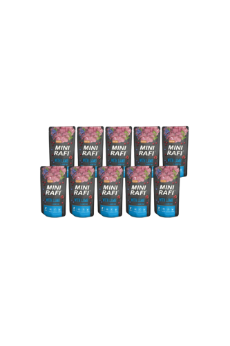 Projekt bez nazwy - 2026-03-15T222916.321.png