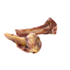 Projekt bez nazwy (35).png