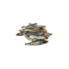 Projekt bez nazwy (42).png
