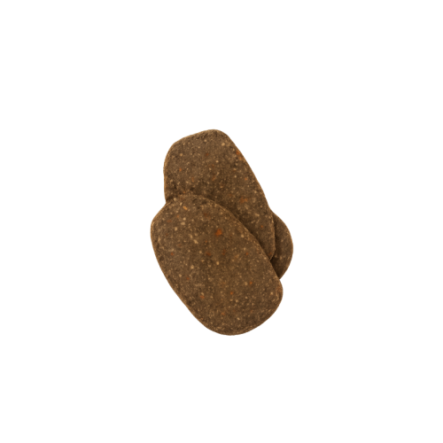 Projekt bez nazwy (80).png