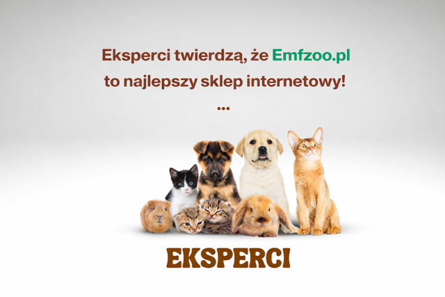 Stylowość w każdym szwie